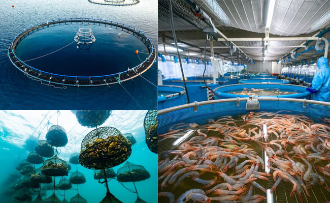 aquaculture facilities